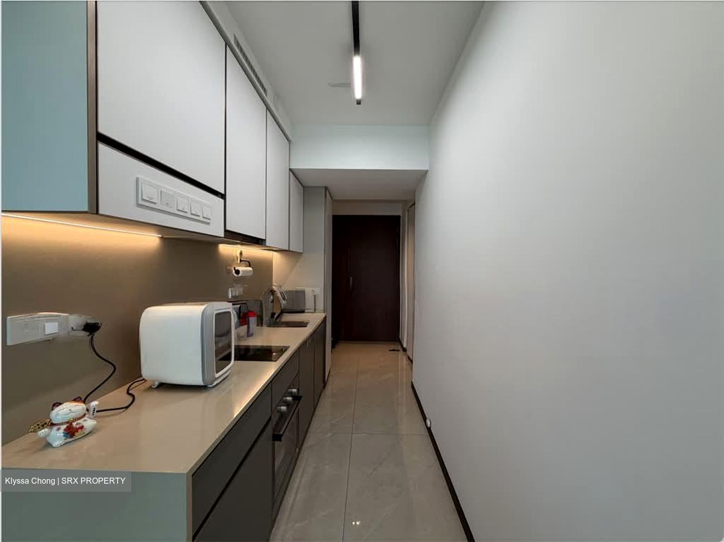 Normanton Park (D5), Apartment #542264901
